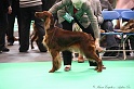 Crufts2011 355